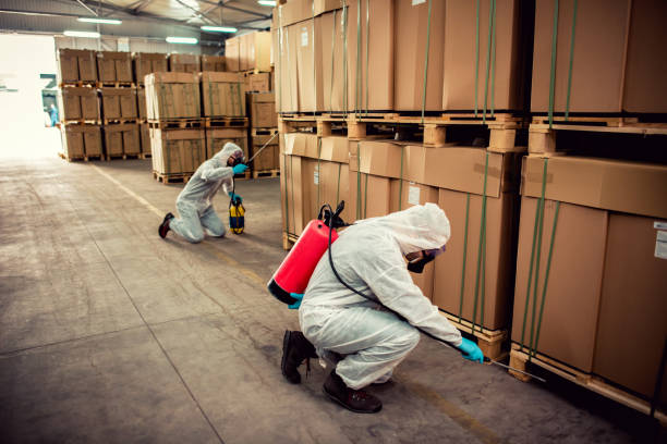 Best Pest Inspection Near Me  in Manorhaven, NY