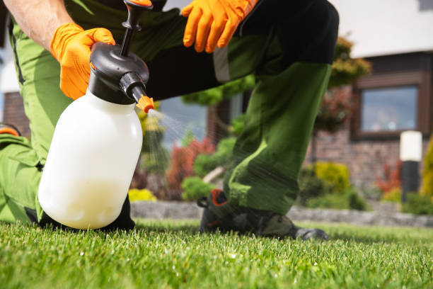 Best Local Pest Control Services  in Manorhaven, NY