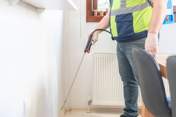 Best Pest Removal Services  in Manorhaven, NY
