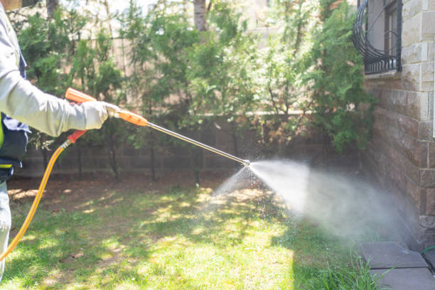 Best Spider Control Near Me  in Manorhaven, NY