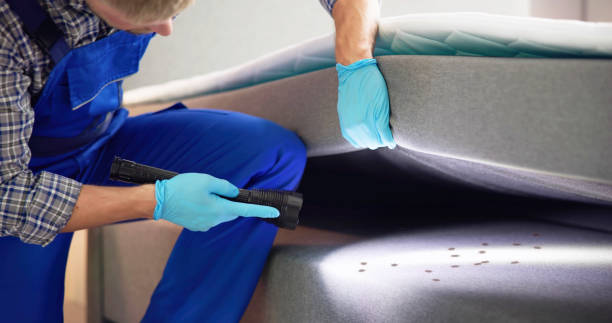 Best Pest Control for Businesses  in Manorhaven, NY