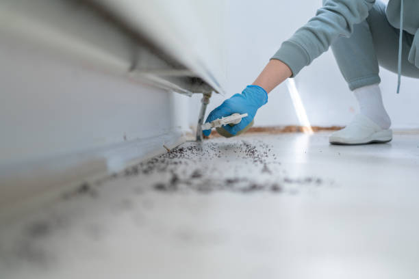Best Best Pest Control Companies  in Manorhaven, NY